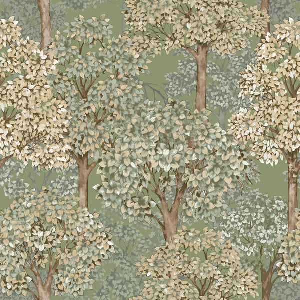Galerie Wallpaper Product code: 12322 - Little Explorers 2 Wallpaper Collection - Green Colours -  