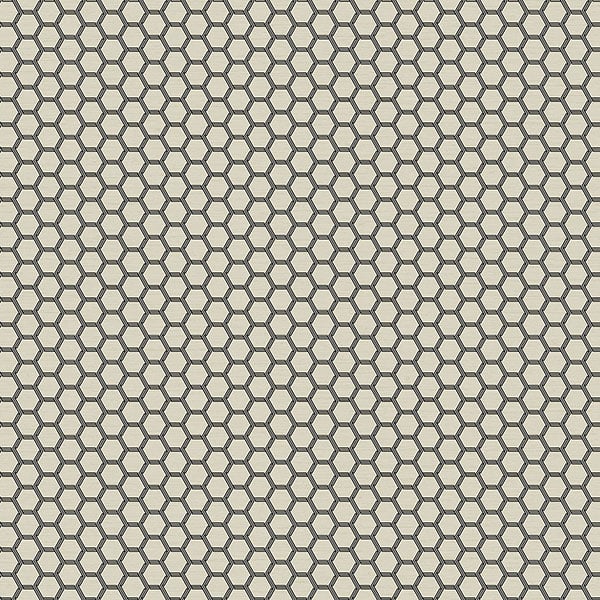 Galerie Wallpaper Product code: 12634 - Ted Baker Fantasia Wallpaper Collection - Cream Black Colours -  