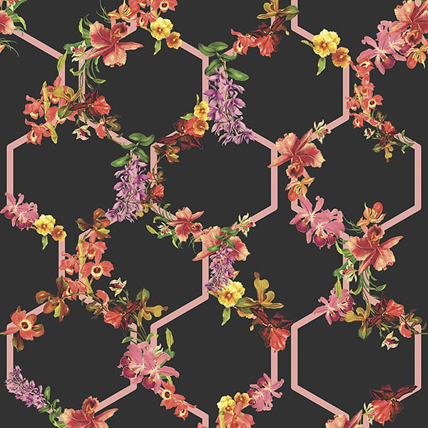 Galerie Wallpaper Product code: 12649 - Ted Baker Fantasia Wallpaper Collection - Black Pink Purple Green Yellow Red Colours -  