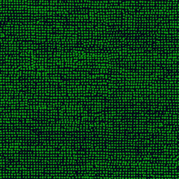 Galerie Wallpaper Product code: 23310 - Marimekko 5 Wallpaper Collection - Green Navy Blue Colours -  