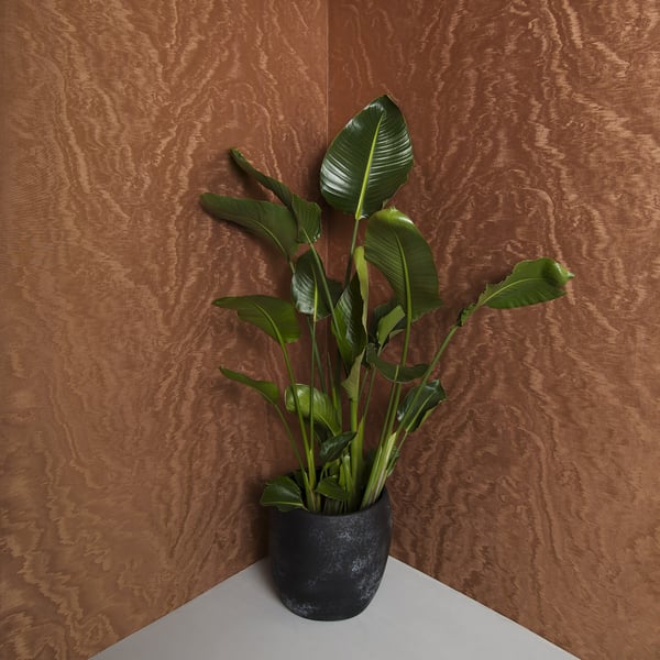 Galerie Wallpaper Product code: 34926_2 - Eclectic Wallpaper Collection - Copper Colours -  