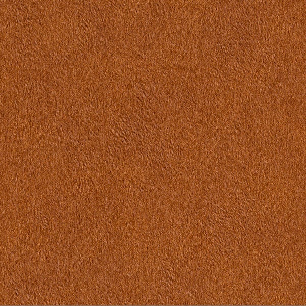 Galerie Wallpaper Product code: 422337 - African Queen 2 Wallpaper Collection -   