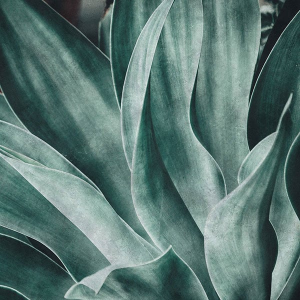 Galerie Wallpaper Product code: 425796 - Exposed Wallpaper Collection -   