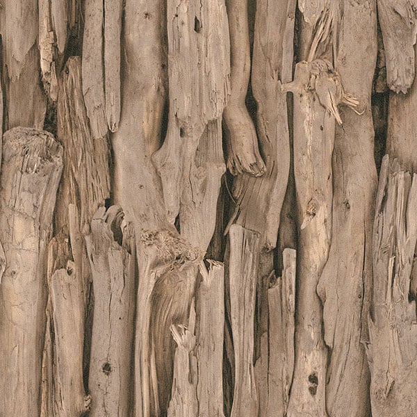 Galerie Wallpaper Product code: 473216 - African Queen 2 Wallpaper Collection -   