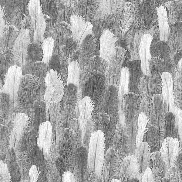 Galerie Wallpaper Product code: 473308 - African Queen 2 Wallpaper Collection -   