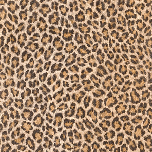 Galerie Wallpaper Product code: 473612 - African Queen 2 Wallpaper Collection -   