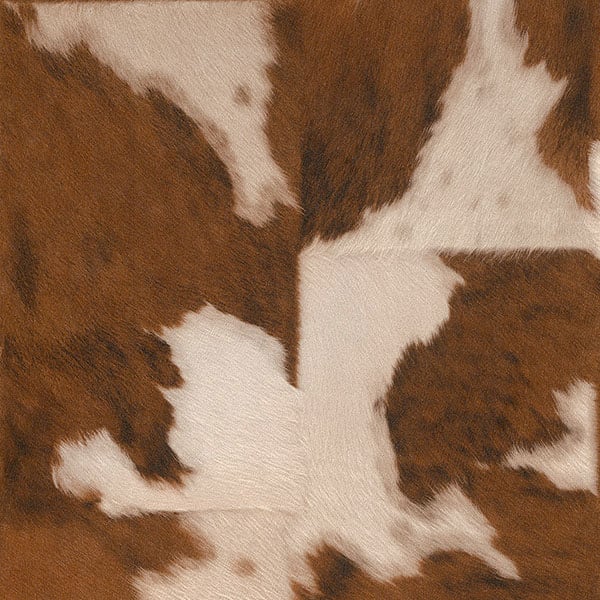 Galerie Wallpaper Product code: 473902 - African Queen 2 Wallpaper Collection -   