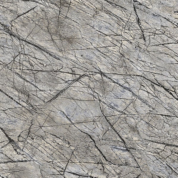 Galerie Wallpaper Product code: 474015 - African Queen 2 Wallpaper Collection -   