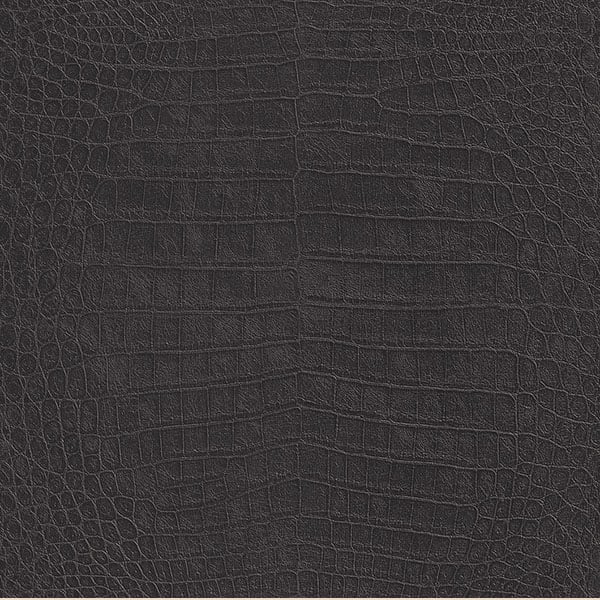 Galerie Wallpaper Product code: 474107 - African Queen 2 Wallpaper Collection -   