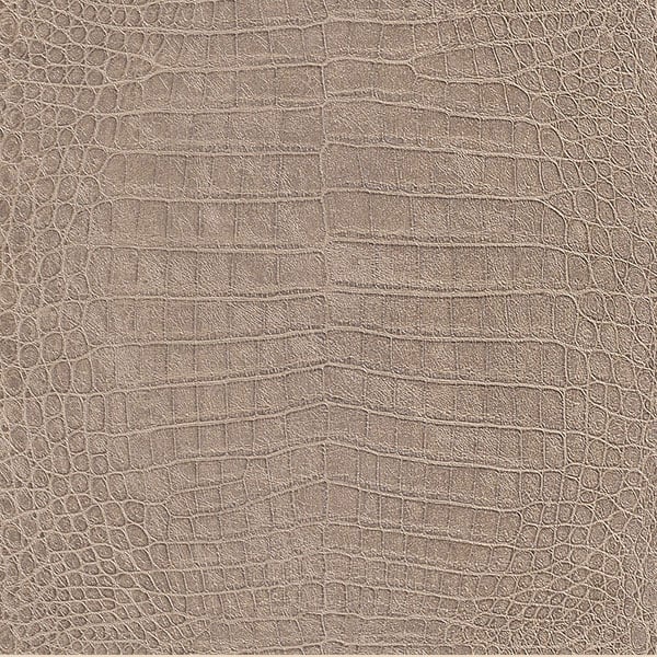 Galerie Wallpaper Product code: 474138 - African Queen 2 Wallpaper Collection -   