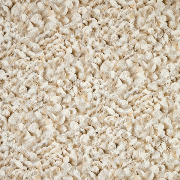 Galerie Wallpaper Product code: 65308 - Salt Wallpaper Collection - Nutmeg Colours -  