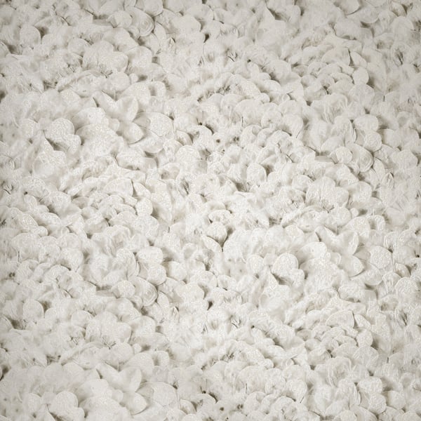 Galerie Wallpaper Product code: 65310 - Salt Wallpaper Collection - Sesame Colours -  