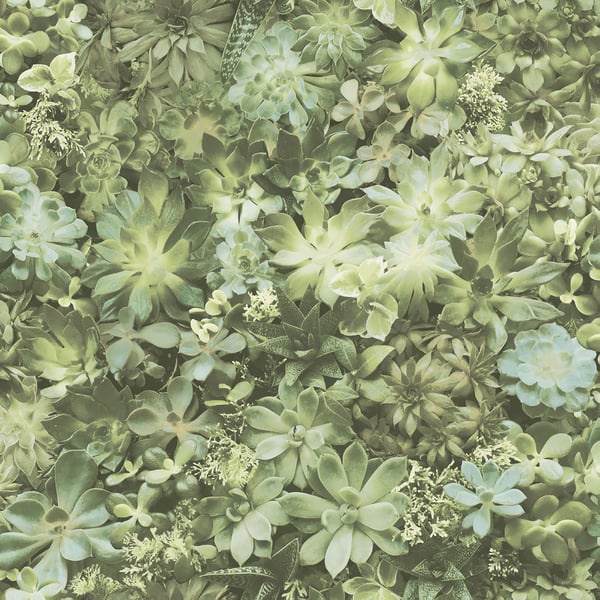 Galerie Wallpaper Product code: 7320 - Evergreen Wallpaper Collection - Green Colours -  