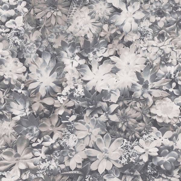Galerie Wallpaper Product code: 7321 - Evergreen Wallpaper Collection - Grey Colours -  