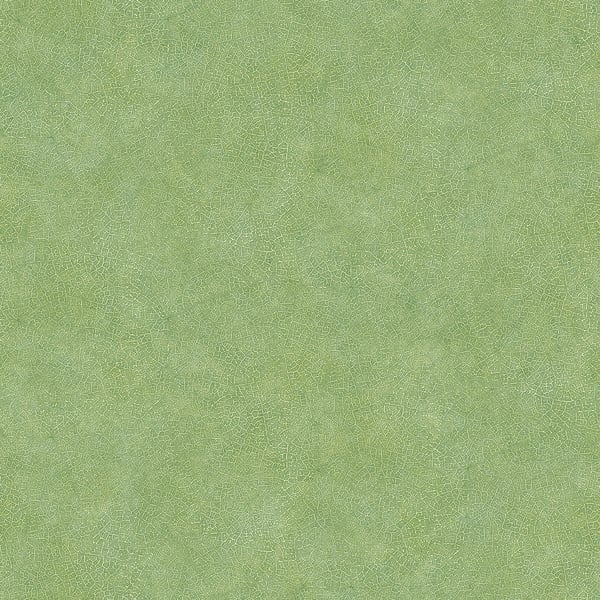 Galerie Wallpaper Product code: 7333 - Evergreen Wallpaper Collection - Green Colours -  
