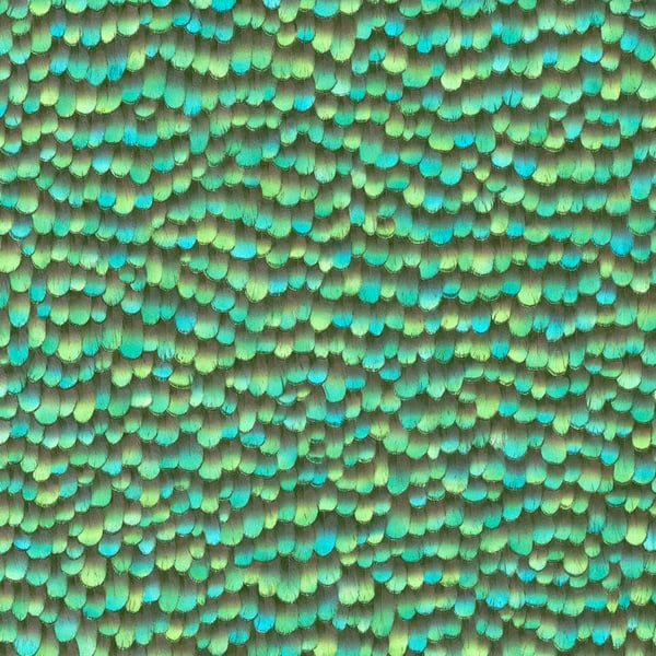 Galerie Wallpaper Product code: AM30020 - Amazonia Wallpaper Collection - Green Colours -  