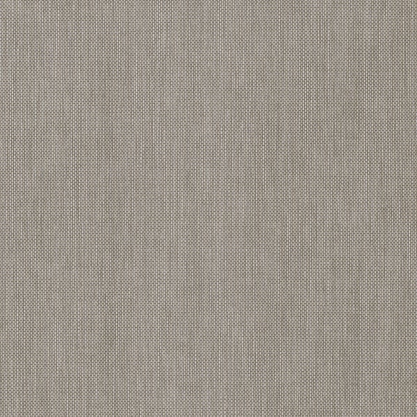 Galerie Wallpaper Product code: AM30035 - Amazonia Wallpaper Collection - Grey Colours -  