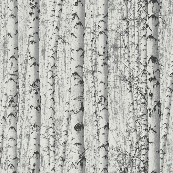 Galerie Wallpaper Product code: BW51006 - Blooming Wild Wallpaper Collection - Grey White Colours -  