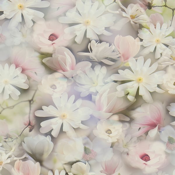 Galerie Wallpaper Product code: BW51033 - Blooming Wild Wallpaper Collection - Blue Green Lilac White Colours -  