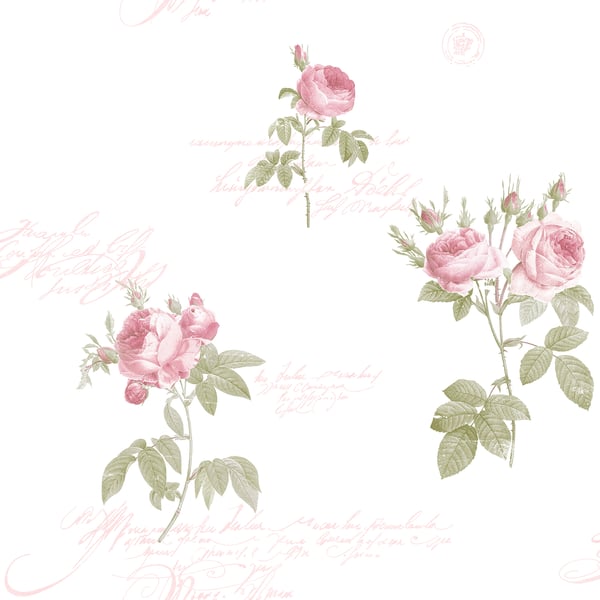 Galerie Wallpaper Product code: CG28820 - Rose Garden Wallpaper Collection -   