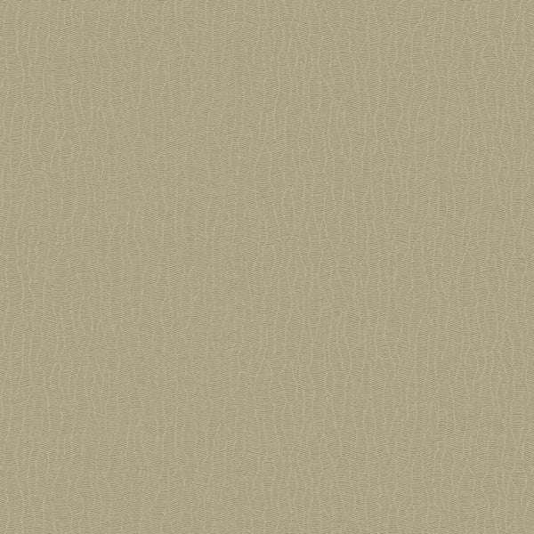 Galerie Wallpaper Product code: DC30042 - Designer Colours Wallpaper Collection - Beige Colours -  