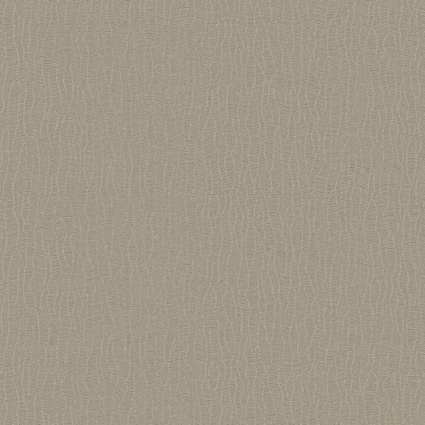 Galerie Wallpaper Product code: DC30043 - Designer Colours Wallpaper Collection - Beige Colours -  
