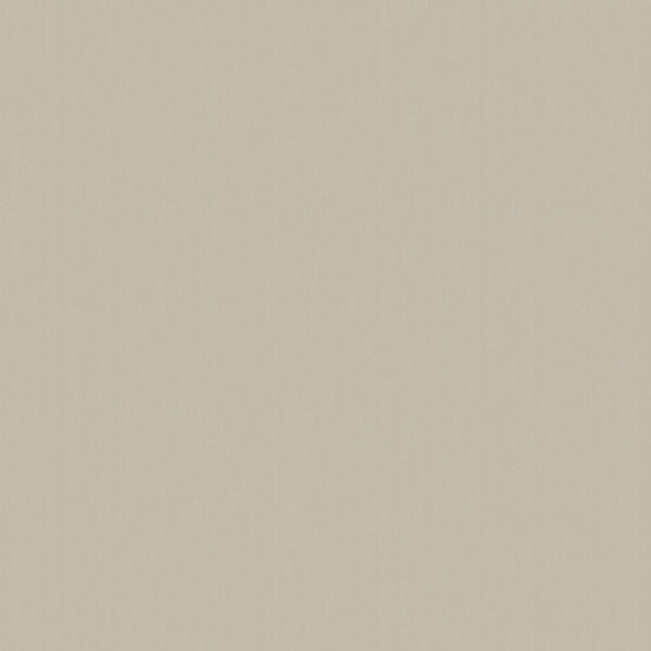 Galerie Wallpaper Product code: DC30101 - Designer Colours Wallpaper Collection - Beige Colours -  