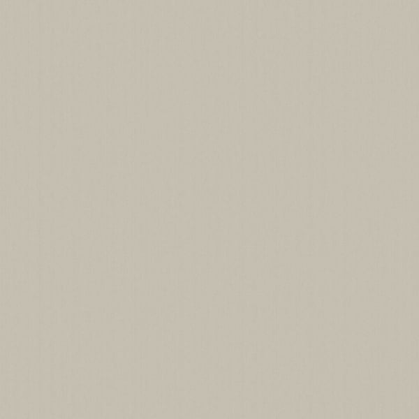 Galerie Wallpaper Product code: DC30102 - Designer Colours Wallpaper Collection - Beige Colours -  