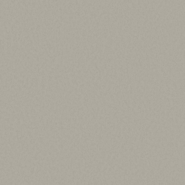 Galerie Wallpaper Product code: DC30144 - Designer Colours Wallpaper Collection - Beige Colours -  