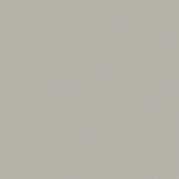 Galerie Wallpaper Product code: DC30202 - Designer Colours Wallpaper Collection - Silver Grey Colours -  
