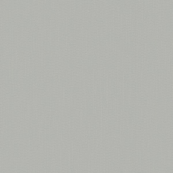 Galerie Wallpaper Product code: DC30214 - Designer Colours Wallpaper Collection - Silver Grey Colours -  
