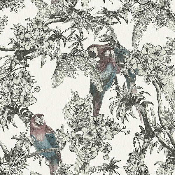 Galerie Wallpaper Product code: ED13085 - Ted Baker Eden Wallpaper Collection - Cream Green Red Turquoise Black Colours -  