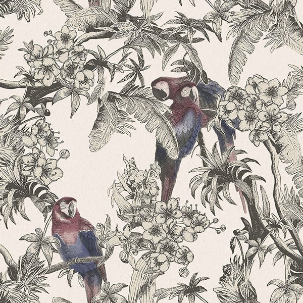 Galerie Wallpaper Product code: ED13087 - Ted Baker Eden Wallpaper Collection - Pink Red Blue Black Colours -  