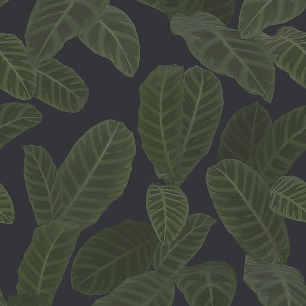 Galerie Wallpaper Product code: ED13126 - Ted Baker Eden Wallpaper Collection - Navy Blue Green Colours -  