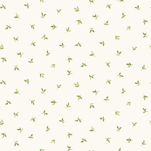 Galerie Wallpaper Product code: G45437 - Just Kitchens Wallpaper Collection - Green White Colours -  
