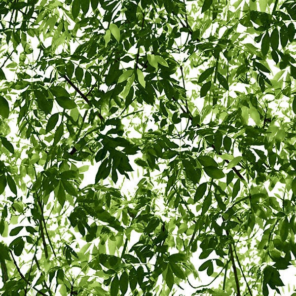 Galerie Wallpaper Product code: J67704 - Just Like It Wallpaper Collection -   