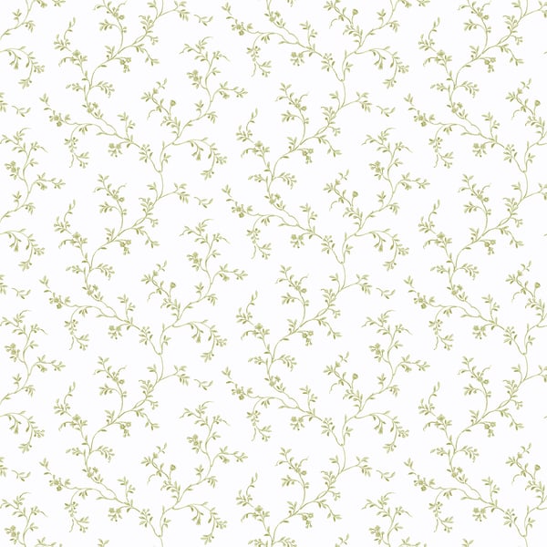 Galerie Wallpaper Product code: PF38112 - Pretty Prints Wallpaper Collection - Olive Colours -  