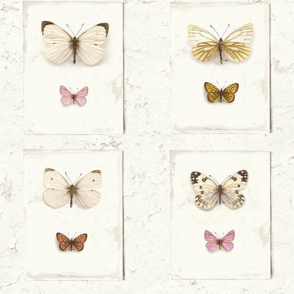 Galerie Wallpaper Product code: SD2001 - Splendour Wallpaper Collection -   