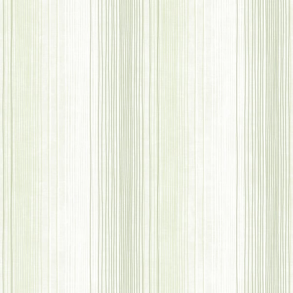 Galerie Wallpaper Product code: ST36924 - Simply Stripes 3 Wallpaper Collection - Green Colours -  