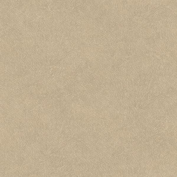 Galerie Wallpaper Product code: TA25021 - Shades Of Colour Wallpaper Collection - beige Colours -  