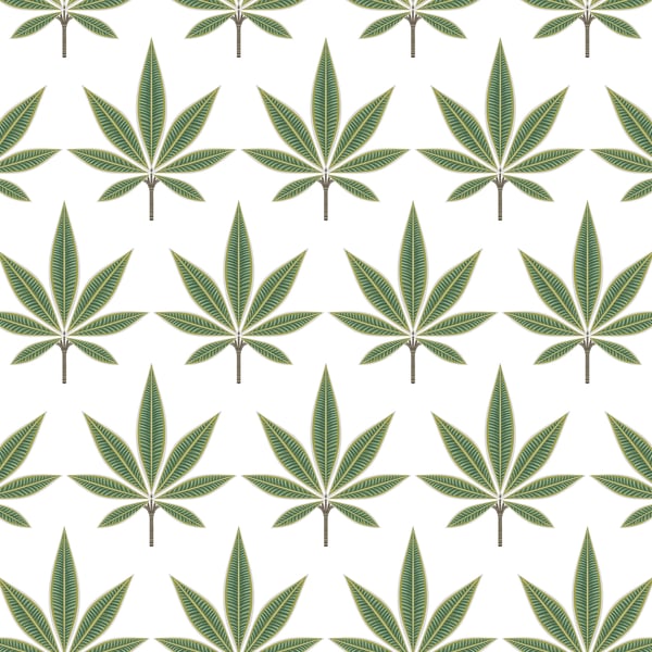 Galerie Wallpaper Product code: TJ41304 - Mulberry Tree Wallpaper Collection - Green Colours -  