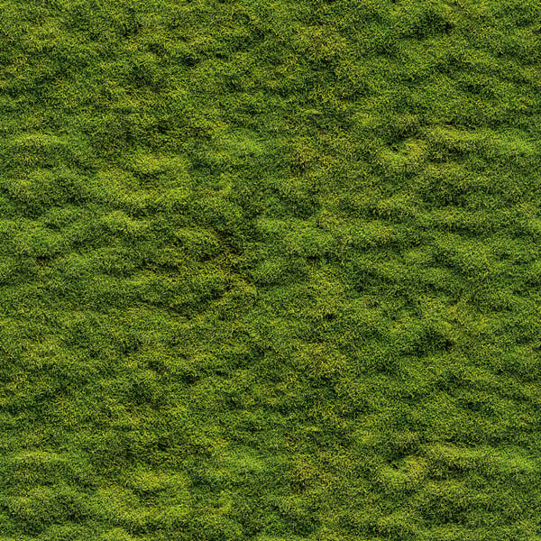 Galerie Wallpaper Product code: WH45208M_3 - Welcome Home Murals Wallpaper Collection - Green Colours -  