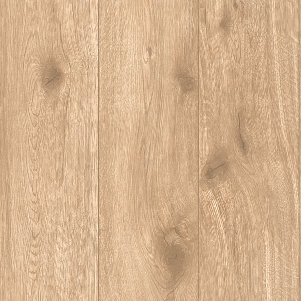 Galerie Wallpaper Product code: WW22219 - Woods And Wicker Wallpaper Collection - Beige Brown Colours -  