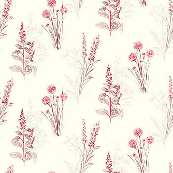 Galerie Wallcoverings Product Code AB42441 - Abby Rose 3 Wallpaper Collection -   