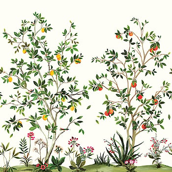 Galerie Wallcoverings Product Code DB30305M - Daisy Bennett Wallpaper Collection - Multicolors Colours -  