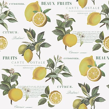 Galerie Wallcoverings Product Code G45409 - Just Kitchens Wallpaper Collection - Yellow Green White Colours -  