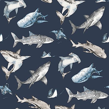 Galerie Wallcoverings Product Code G78590 - Kids & Teens Wallpaper Collection - Navy Choke Blue Brown Colours -  