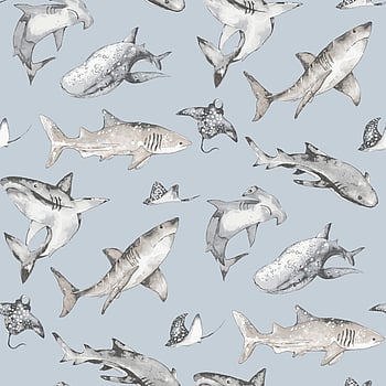 Galerie Wallcoverings Product Code G78591 - Kids & Teens Wallpaper Collection - Pale Blue Choke Greys Colours -  