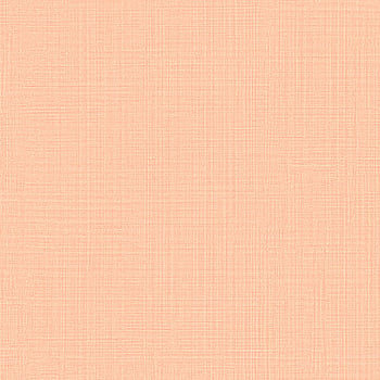 Galerie Wallcoverings Product Code JR1004 - Jack N Rose Junior Wallpaper Collection -   