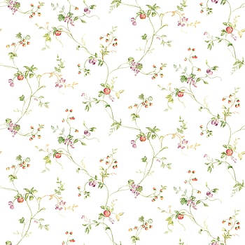 Galerie Wallcoverings Product Code KC28534 - Fresh Kitchens 5 Wallpaper Collection -   